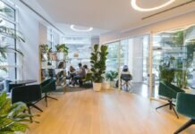 Making Your Office Space Green and Eco-Friendly office