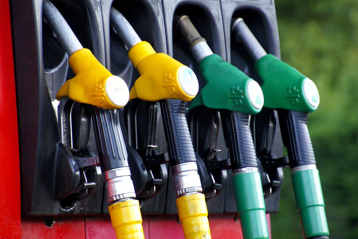 How Is Croton Biofuel Playing Key Role In Kenyan Economy?