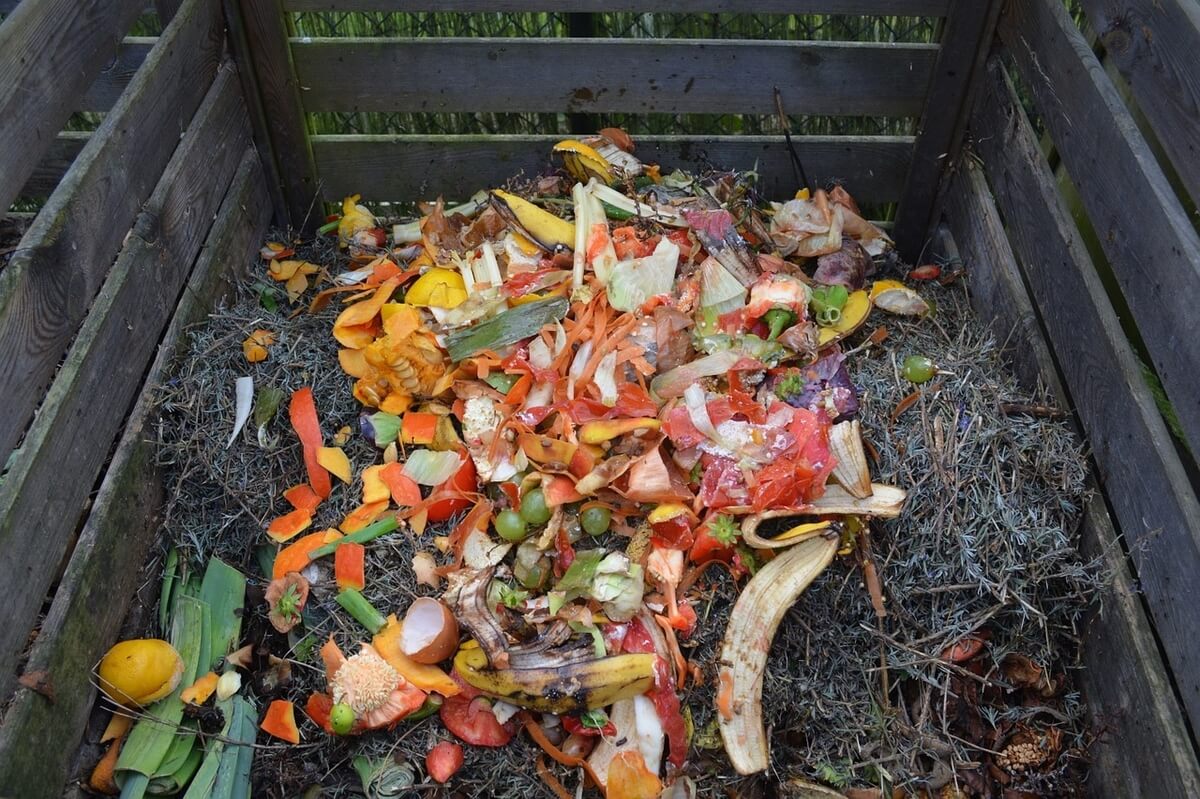 Why Reducing The Food Waste Should Be A Prime Concern?