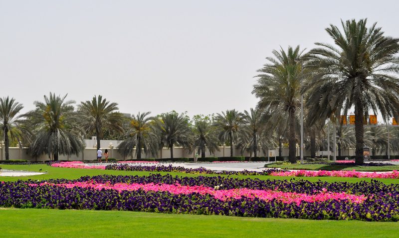 Dubai Landscaping