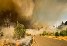Are Smart Cities the Key to stopping Natural Disasters? Disaster