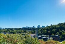 Why Do We Need Green Cities Green City