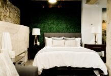 Eco-Friendly Design: How to Make Your Hotel Greener Hotel