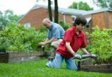 Easy Ways to Create an Eco-Friendly Lawn Lawn