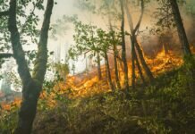 How Smart Cities Enable Extreme Weather Resilience Fires