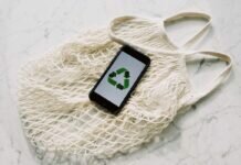 How to Be More Eco-Friendly and Sustainable in 2023 recycle