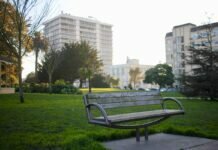 How Smart Cities Can Improve the Health of People and the Environment environment
