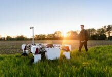 No More Food Insecurity: How Smart Cities are Making Access to Food Equal agriculture